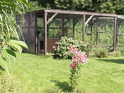 Marina Handke - Birma Katzen Kreuzhorst aus Springe: Wir sind nicht nur am Deister, in Hannover, sondern in gnaz Niedersachsen bekannt als verantwortungsbewusster Katzenzchter mit der Zuchtkatze, der Heiligen Birmakatze, mit Deckkater, Birma Deckkater, mit Know-how rund um Cattery und Kitten. 